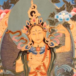 June 24th on Full moon: The Heart Essence of Sherab Chamma