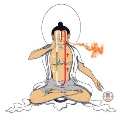 August 21st The Nurturing effects of TsaLung and Specific Foods as Utilized in Tibetan Medicine