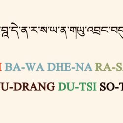 Menri Drubchen and Medicine Buddha Practice On the Full Moon